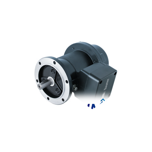 Baumer EEx GP 0