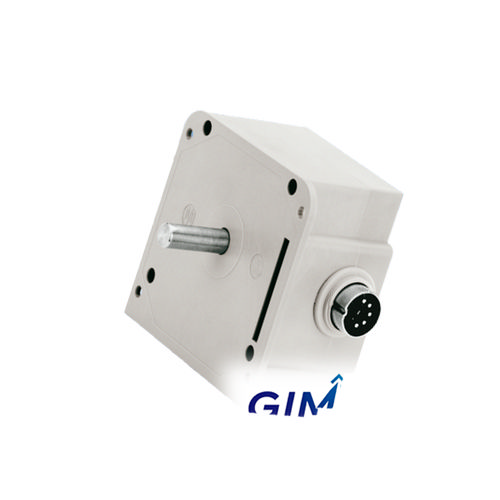 Baumer G 305