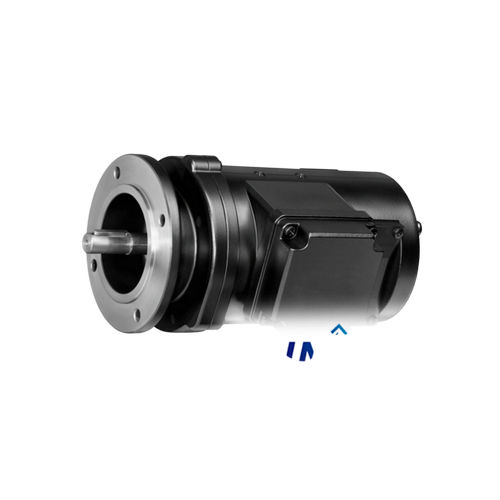 Baumer GMP 1
