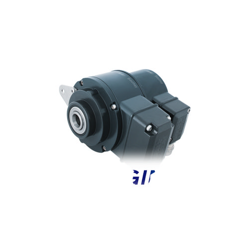 Baumer HOG 10 + FSL