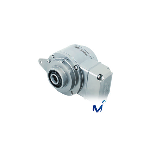 Baumer HOG 11