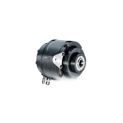 Baumer HOGS 100 S