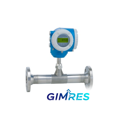 Endress+Hauser Proline t-mass F 300