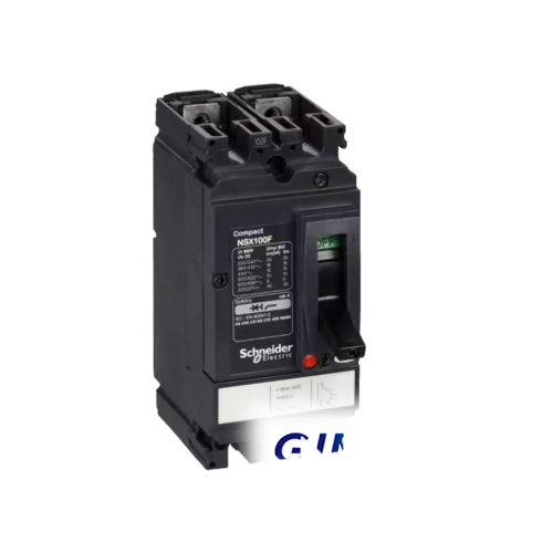 Schneider Electric NSX100F 100A