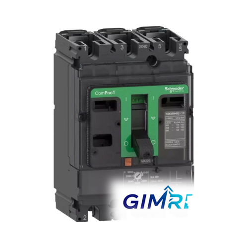 Schneider Electric NSX100F